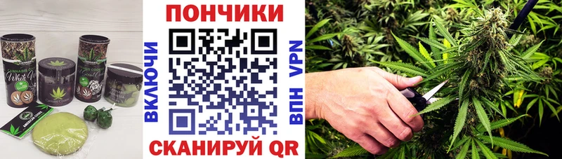 закладки  Тбилисская  Canna-Cookies конопля 