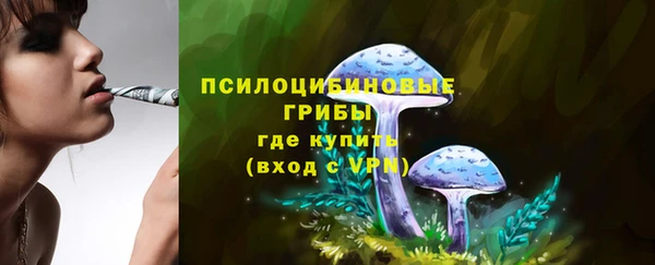 СК Абаза