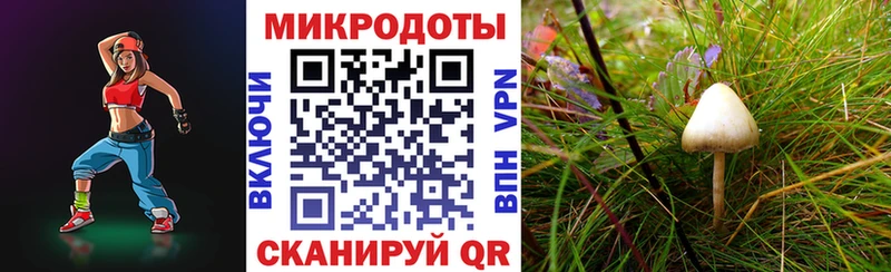 Псилоцибиновые грибы Cubensis купить закладку Тбилисская