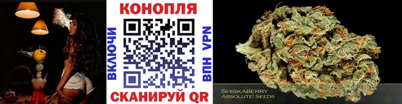 Каннабис гибрид где продают наркотики Тбилисская